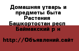 Домашняя утварь и предметы быта Растения. Башкортостан респ.,Баймакский р-н